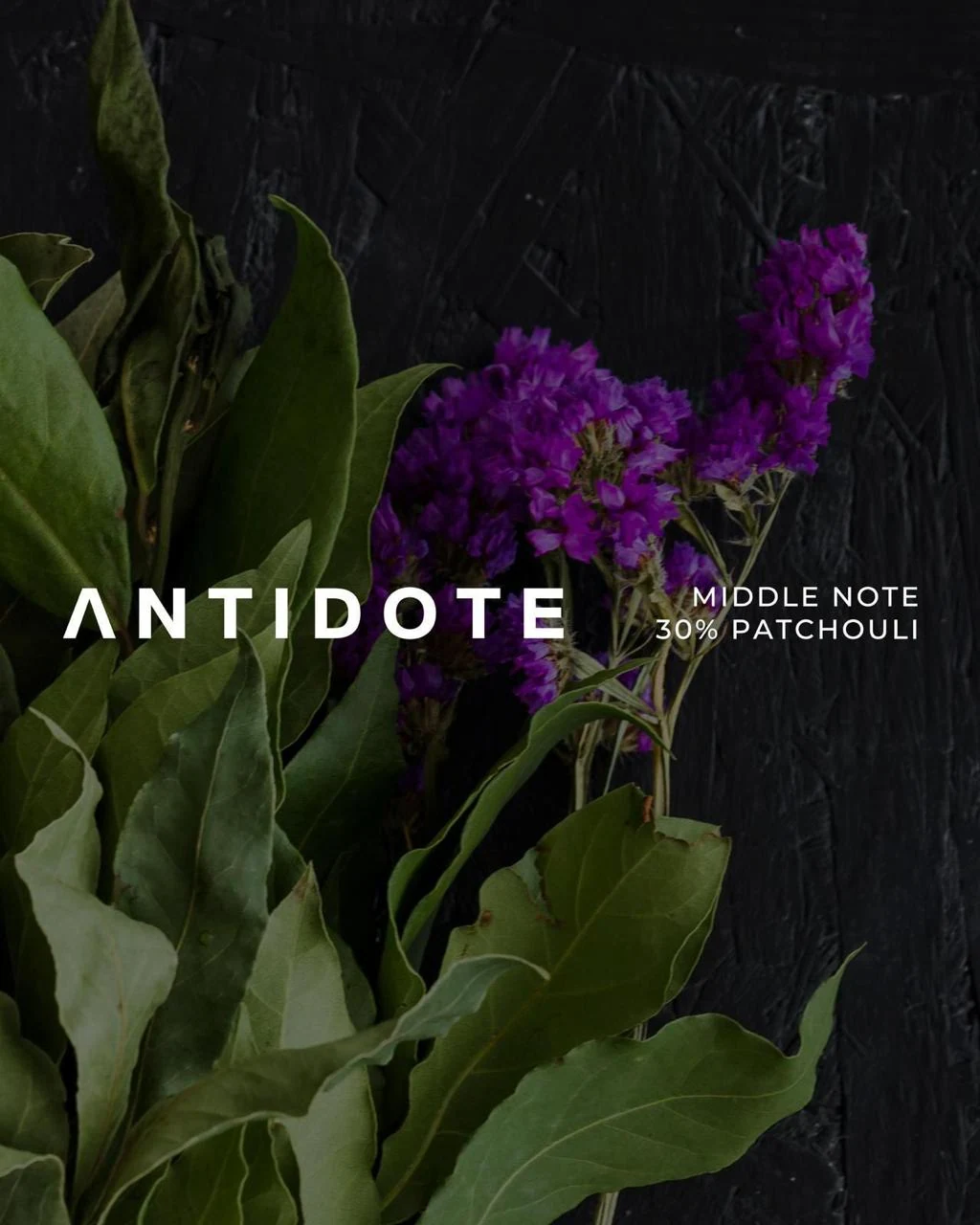 AMUDI ANTIDOTE PERFUME, image 5