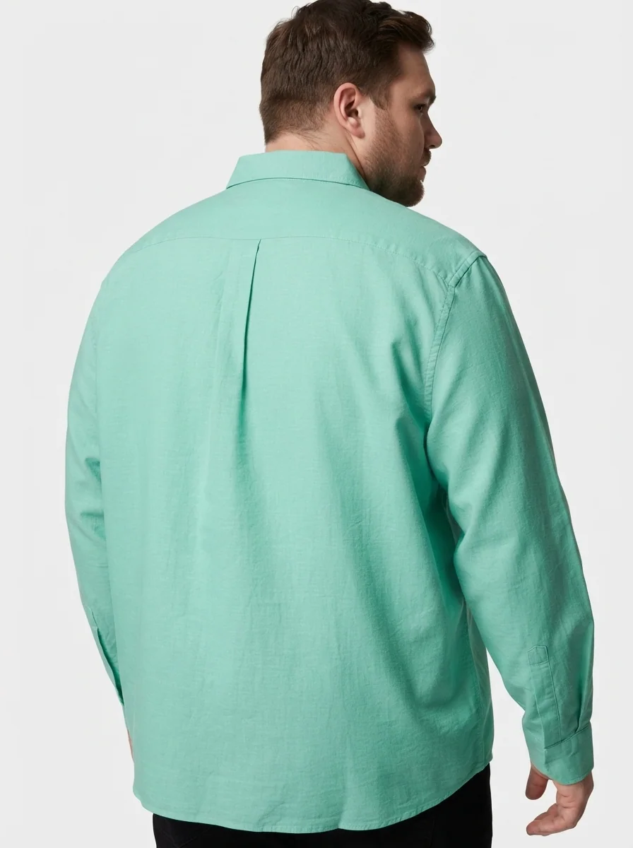 EPPIC OXFORD PLAIN SHIRT F/S, image 2