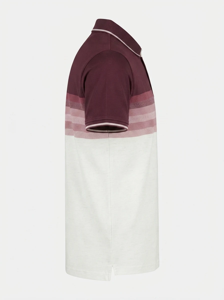 EITHAM STREET COLLAR T-SHIRT, image 5